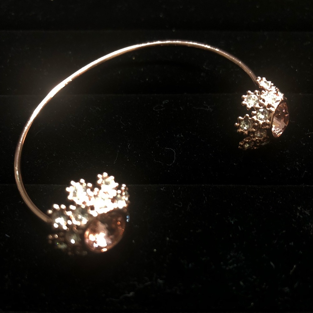 NWOT Ted Baker Bracelet Pink Gold Tone